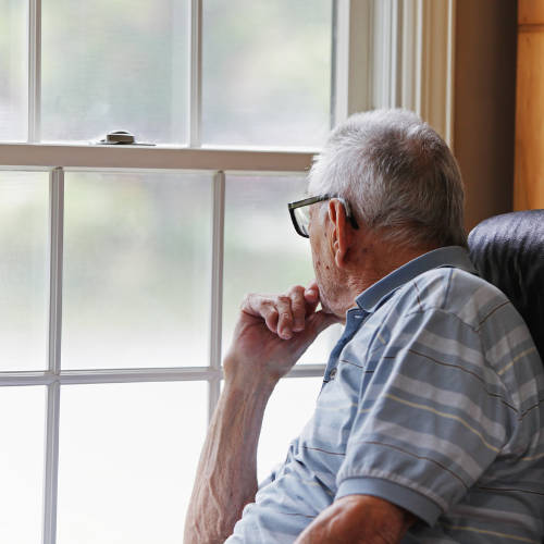 Dades solitud públics